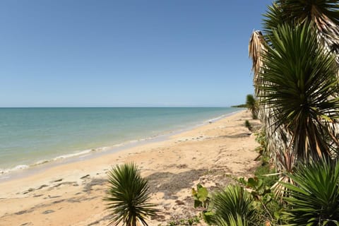 Somali Jungle Eco Lodge and Cabins Nature lodge in Westmoreland Parish