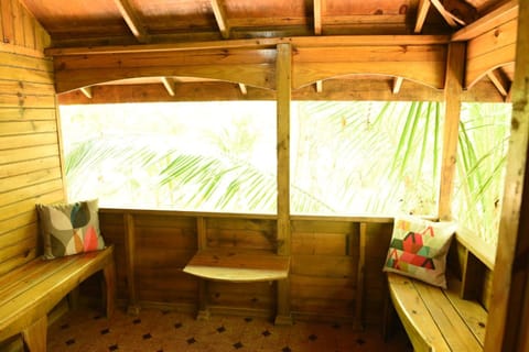 Somali Jungle Eco Lodge and Cabins Nature lodge in Westmoreland Parish