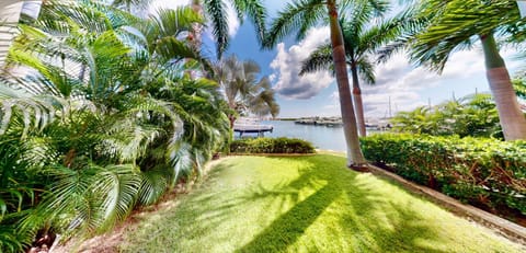 Natural landscape, Garden view, Sea view