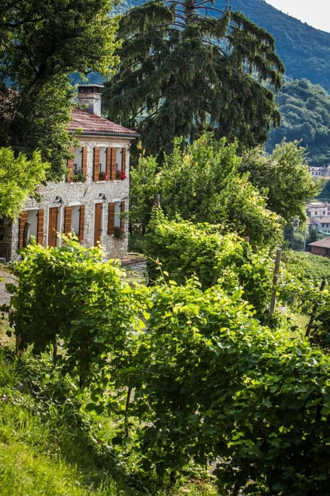 Property building, Spring, Natural landscape, Garden, Garden view, Mountain view