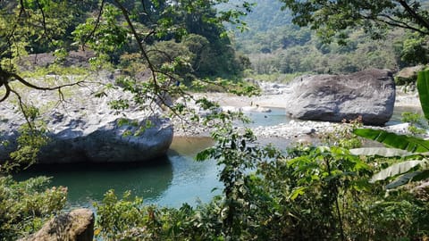 MOTMOT HOSTEL Luxury tent in La Ceiba