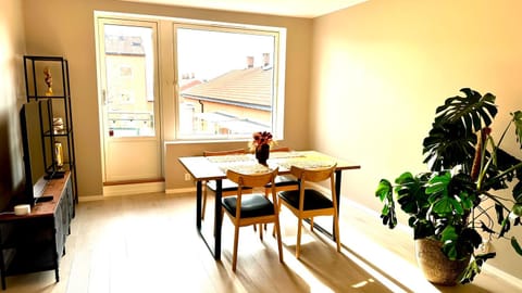 Spacious apartment with free parking Apartment in Oslo
