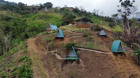 Natural landscape, Garden, Garden view