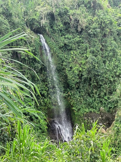 Nearby landmark, Natural landscape