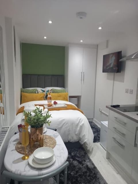 Cosy Luxury studio in Leicester. (Emerald Suite) Apartment in Leicester