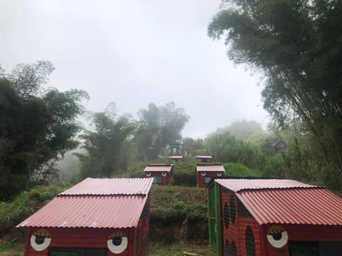 El Parque del Loro Farm Stay in Magdalena, Colombia