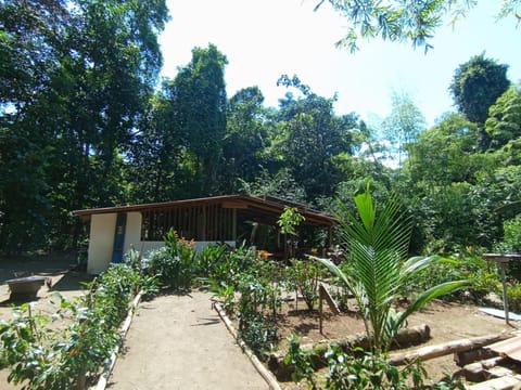 Paraíso Yubarta Eco Hotel Hotel in Choco, Colombia