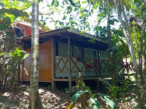 Paraíso Yubarta Eco Hotel Hotel in Choco, Colombia