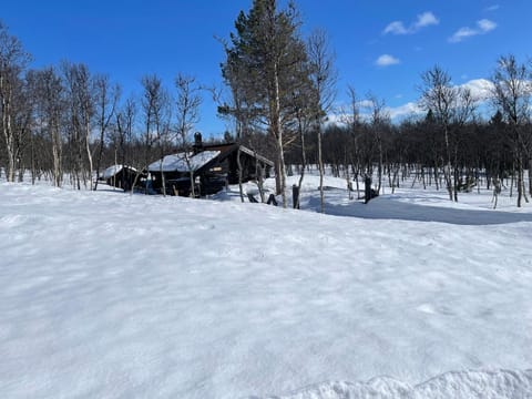 Property building, Winter