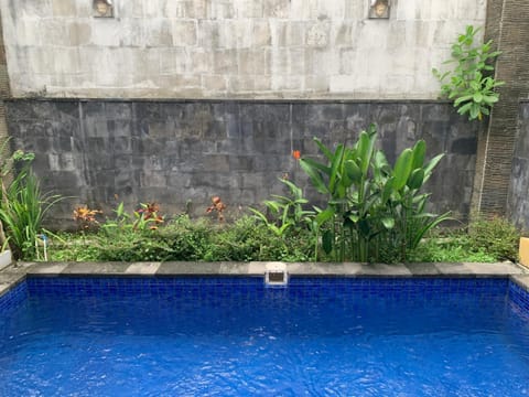 Day, Garden view, Pool view, Swimming pool