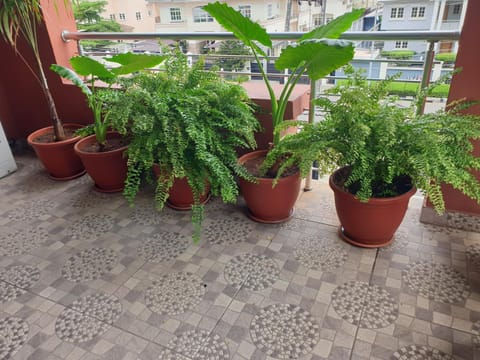 Oasis in the City. Victoria Island serviced apt. Apartment in Lagos