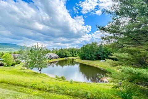 Loon Getaway Apartment in Woodstock