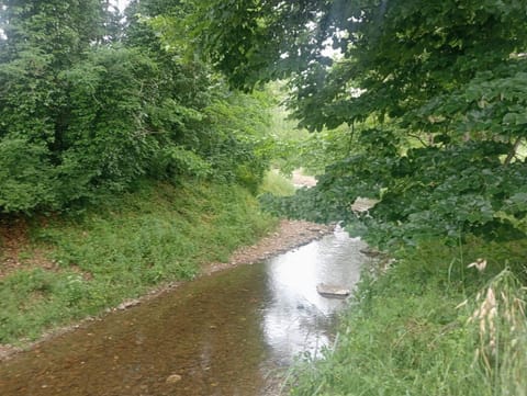 Spring, Day, Natural landscape, River view