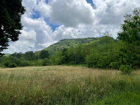 Nearby landmark, Spring, Day, Natural landscape, Mountain view