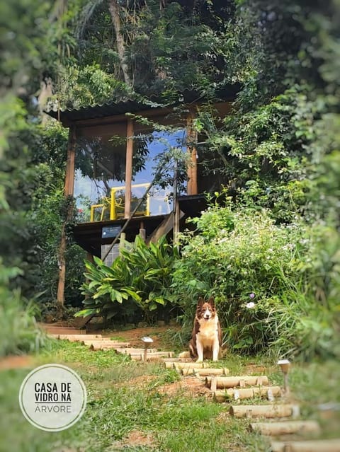 Casa de Vidro com cachoeira Camping /
Complejo de autocaravanas in Itatiba