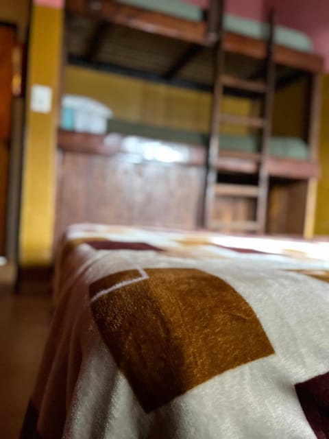 Hebes House Hostel in Araucania, Chile