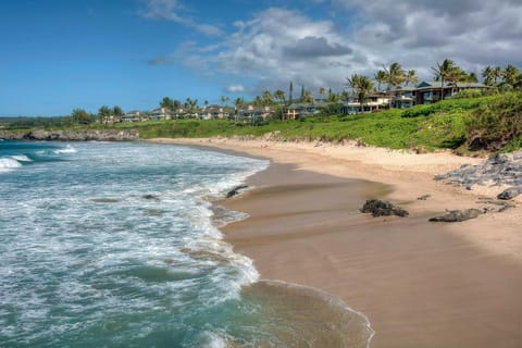 Kapalua Oasis, Ac, Ocean views - r414 - Sullivan House in Kapalua