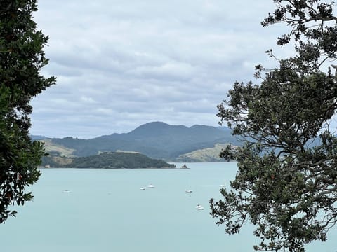 The Nest-Stunning seaview's House in Coromandel