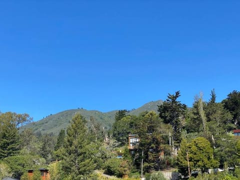 Sunny Mountain Temple in Mill Valley 17 min to SF House in Mill Valley
