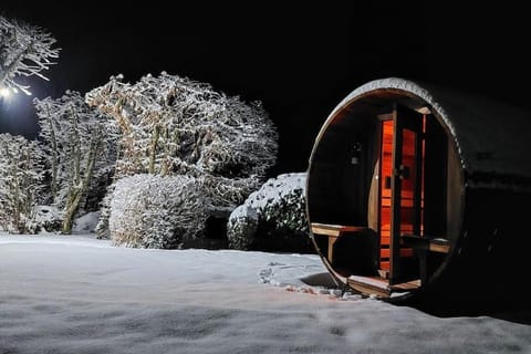 Winter, Garden, Sauna