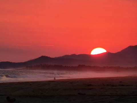 Beachfront in a peaceful Resort 8mi from Puerto Escondido Apartment in State of Oaxaca