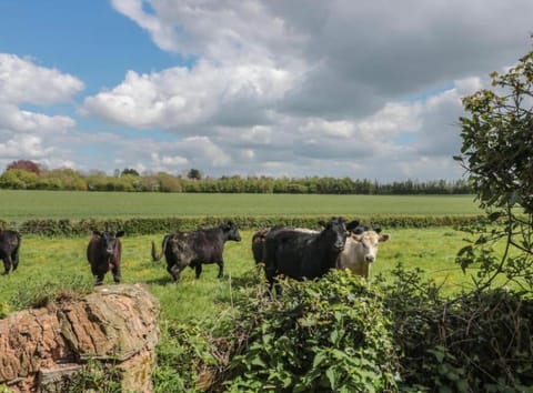 Countryside Pod Retreat Apartment in Taunton Deane