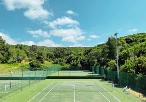 Tennis court, Tennis court