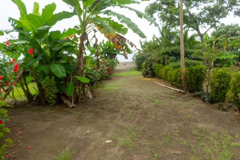 Cabaña Ecoturistica Villa Inesita Farm Stay in Choco, Colombia