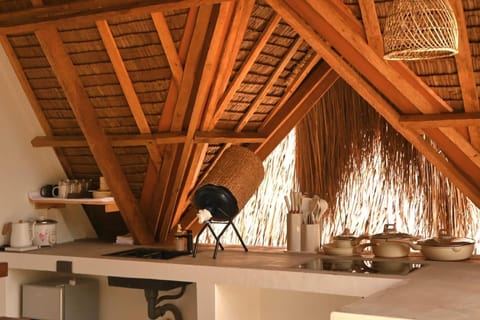 Pretty Jungle Siargao Villa in Siargao Island