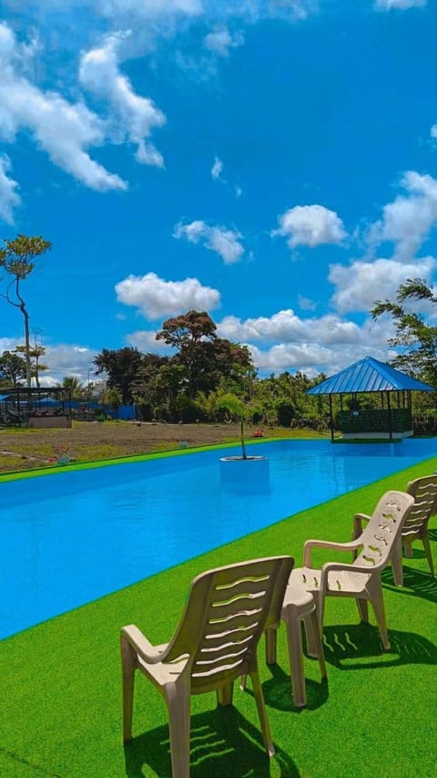 Pool view, Swimming pool, sunbed