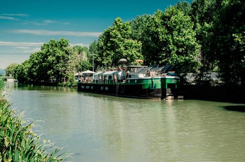 Natural landscape, River view