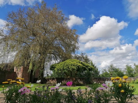 Garden, Coffee/tea facilities, View (from property/room)