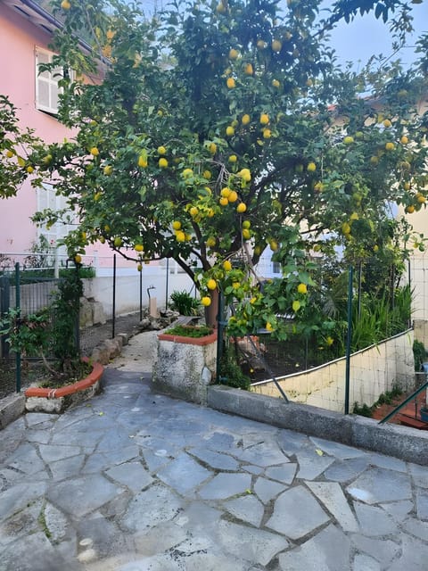 Garden, Garden, Garden view, Garden view