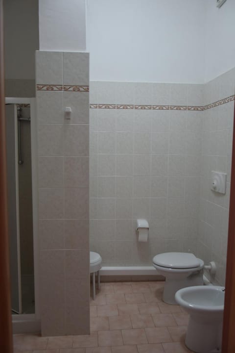 Shower, Toilet, Bathroom, bidet