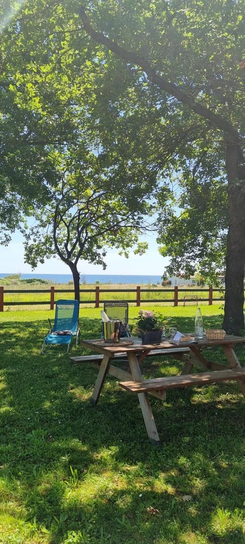 Garden, Beach, Garden view