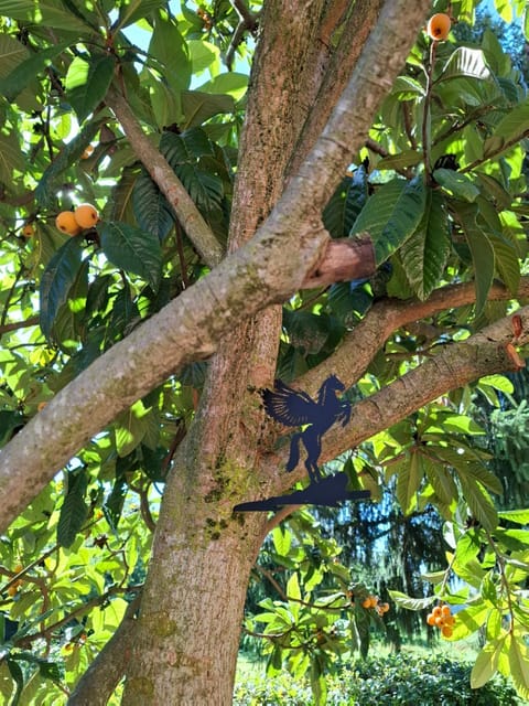 king's house Vacation rental in Piedmont