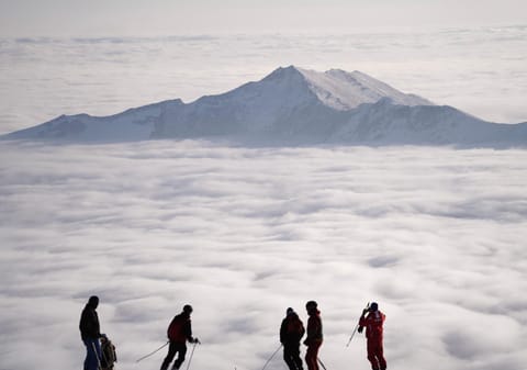 Day, People, Natural landscape, Winter, Skiing, Mountain view, group of guests