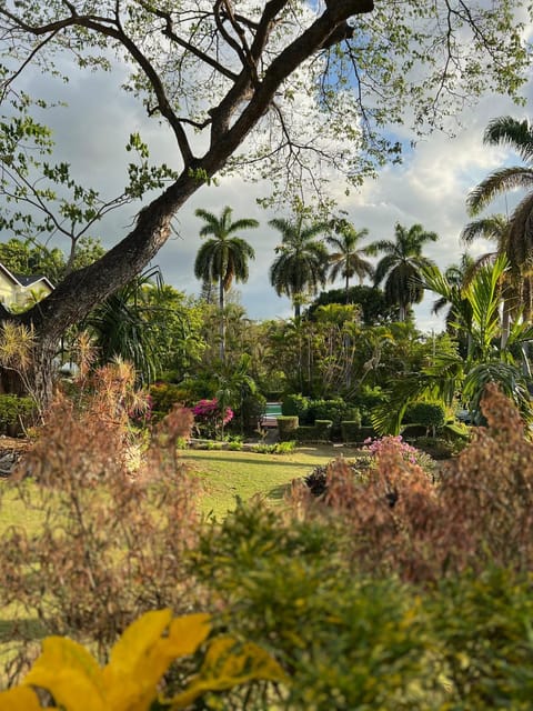 Montego Bay Beach House House in Montego Bay