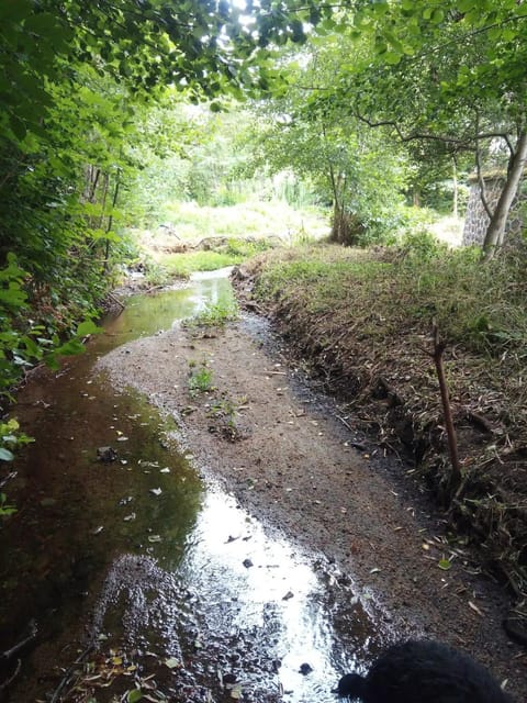 La Grange de Saint-Martin / Les écuries du Chateau St-Martin Villa in Riom