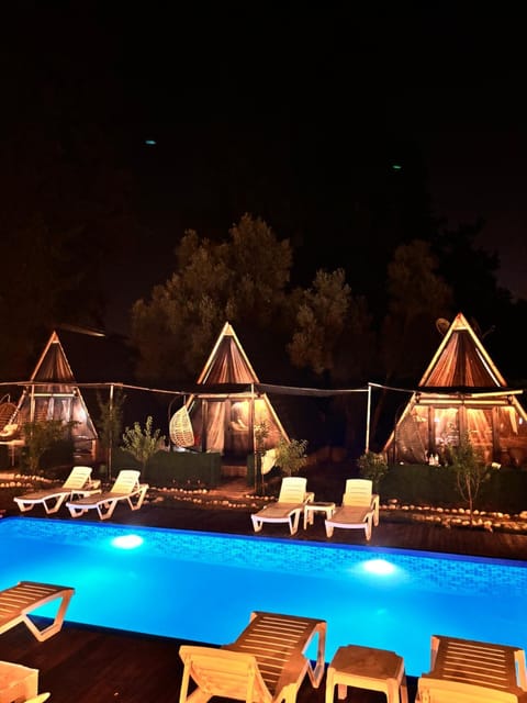 Night, Pool view, Swimming pool, sunbed