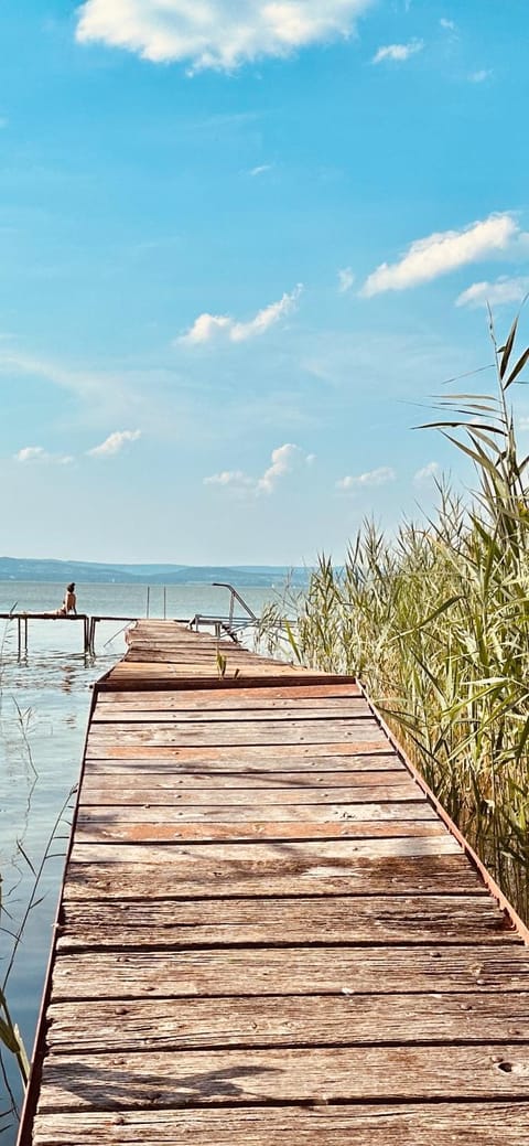 Szárszó Apartment with 3 rooms and PRIVATE BEACH, PRIVATE PARKING House in Balatonszárszó