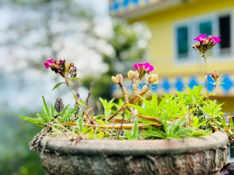 Nath Retreat Centre Apartment in Bagmati Province, Nepal