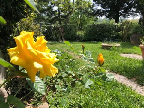 Garden, Garden view