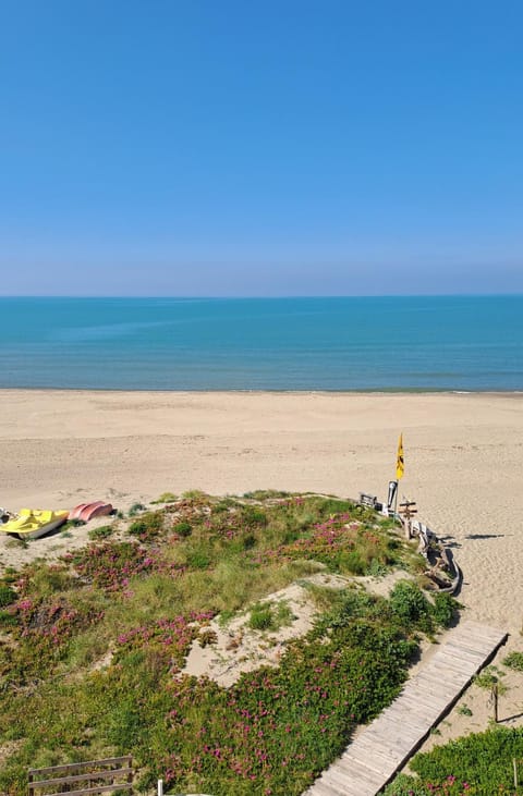 Nearby landmark, Beach, Sea view