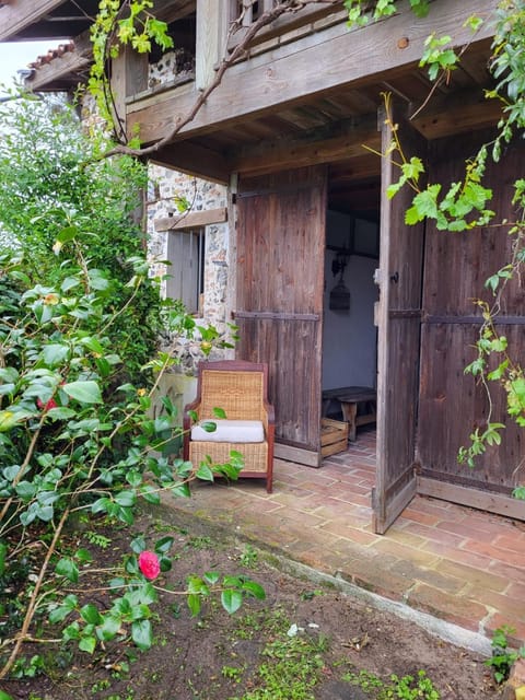 Patio, Garden view