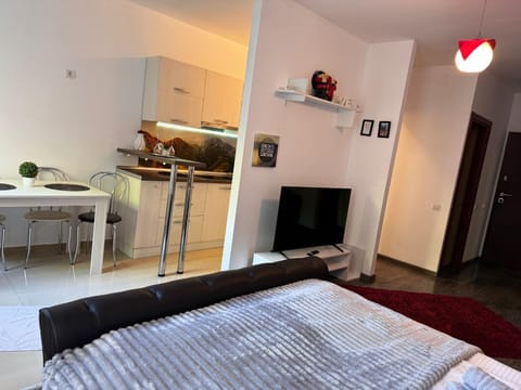 InisteResidence Apartment in Brasov