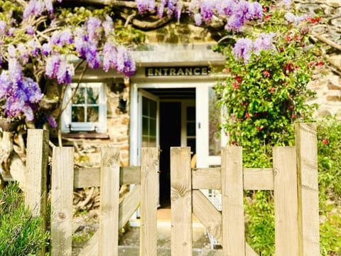 Property building, Facade/entrance, Spring, Day, Garden, Garden view