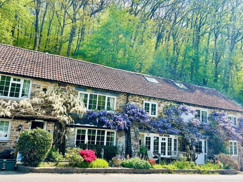 Property building, Facade/entrance, Spring, Day, Natural landscape, Garden, Garden view