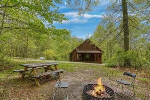 Blue Rose Cabins - Pinecrest Cabin House in Falls Township