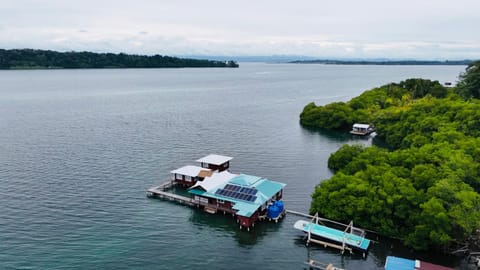 Round the point Bungalow Appartement in Bastimentos Island